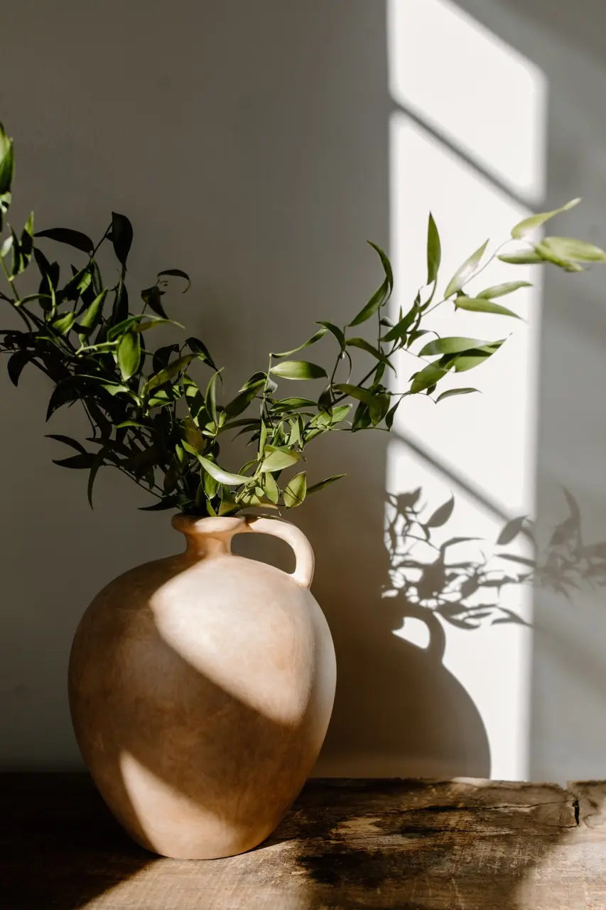 A clay pot on the floor with leaves in it. Sunlight is coming through a window and hitting the wall